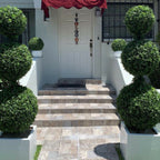 Triple Sphere Topiary with Medium Block Fiberglass Pot