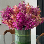 Mixed Mokara Orchids in Large Rotating Cylinder