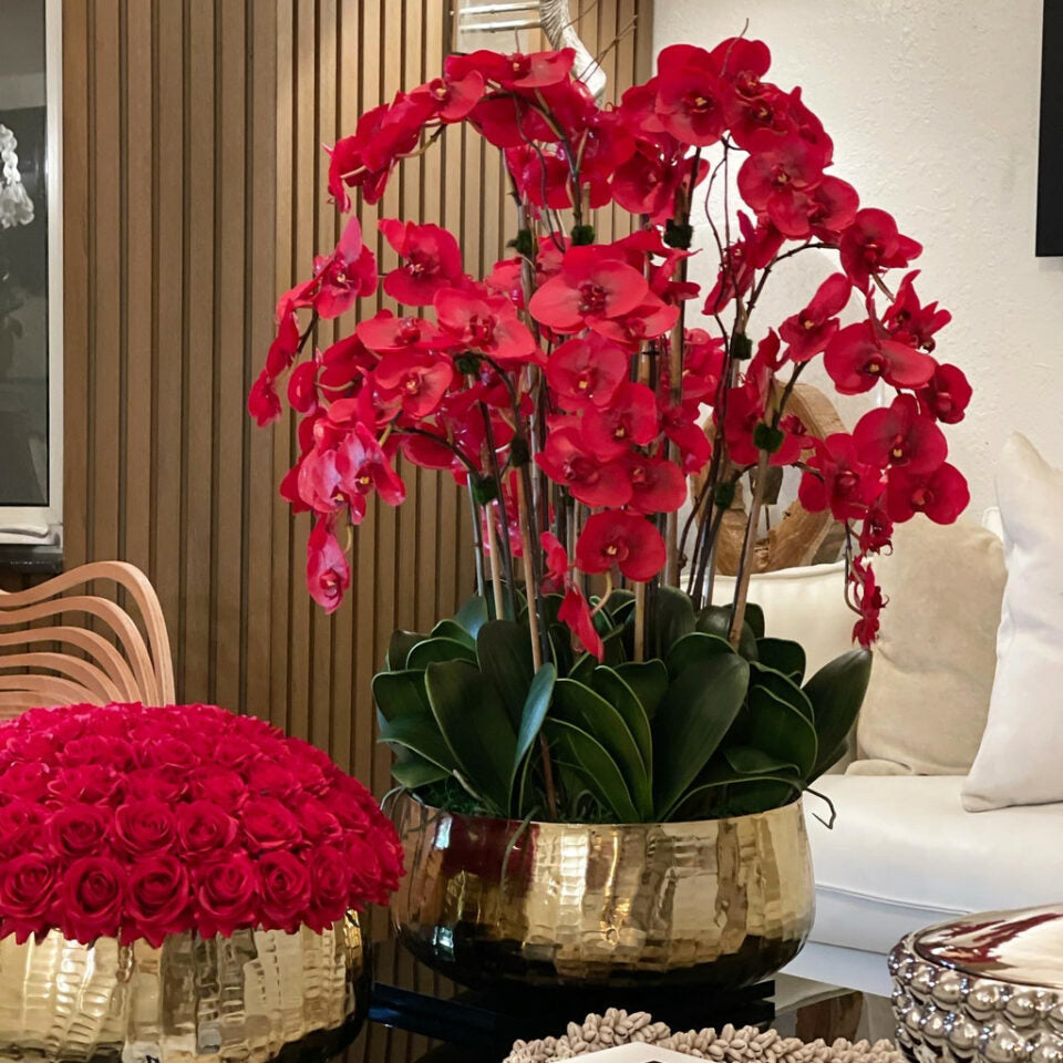 Red Phalaenopsis Orchids in Medium Gold Pot