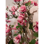 Pink Magnolia Tree in St. Tropez Pot in Radiant White – New Release