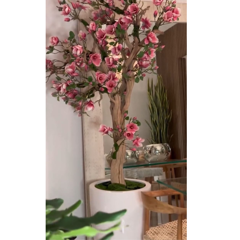 Pink Magnolia Tree in St. Tropez Pot in Radiant White – New Release