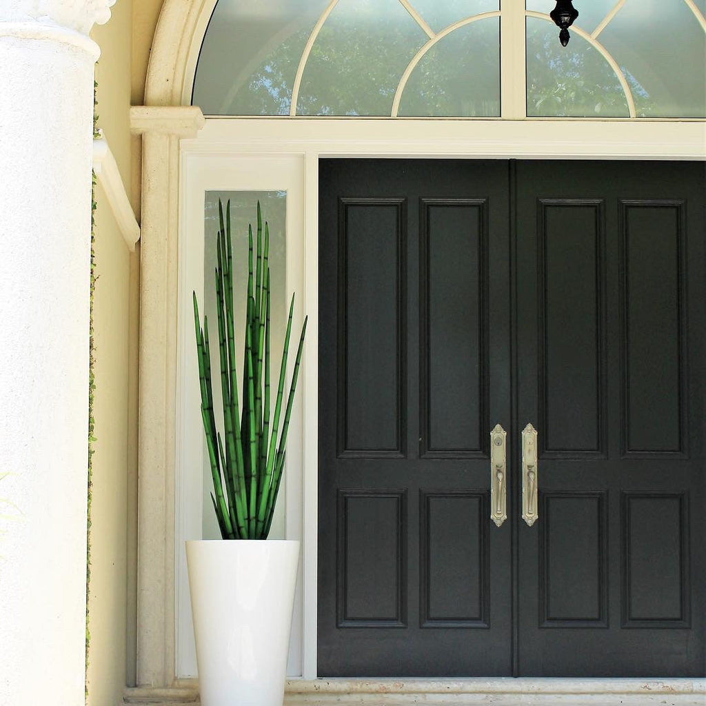 Snake Grass (160 cm) with Belle M Planter