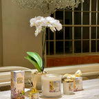 Room Fragrance Parisian Rendezvous with Scent Sticks