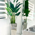 Medium stainless steel cube vase with Bird of Paradise (7′)