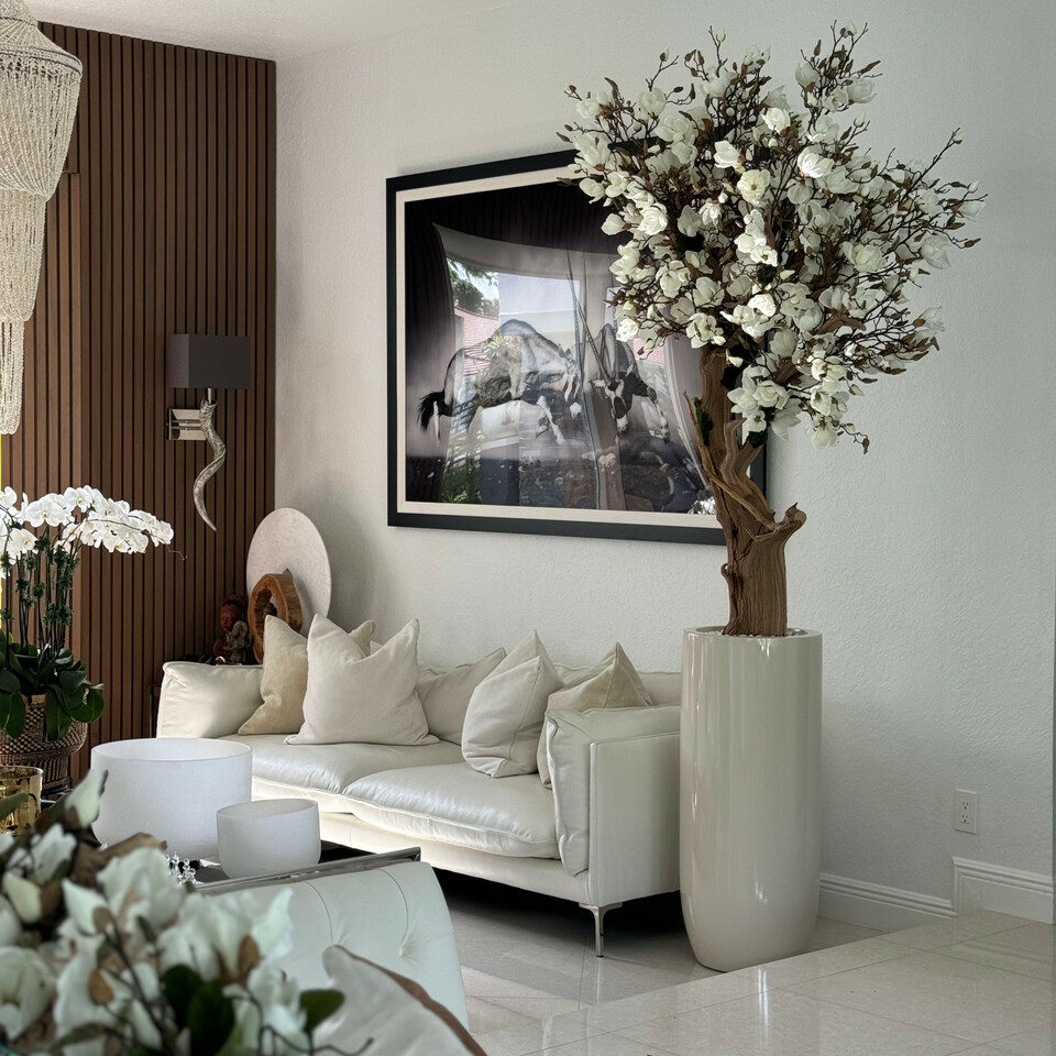 White Magnolia Tree in Pot St. Tropez Bright Beige