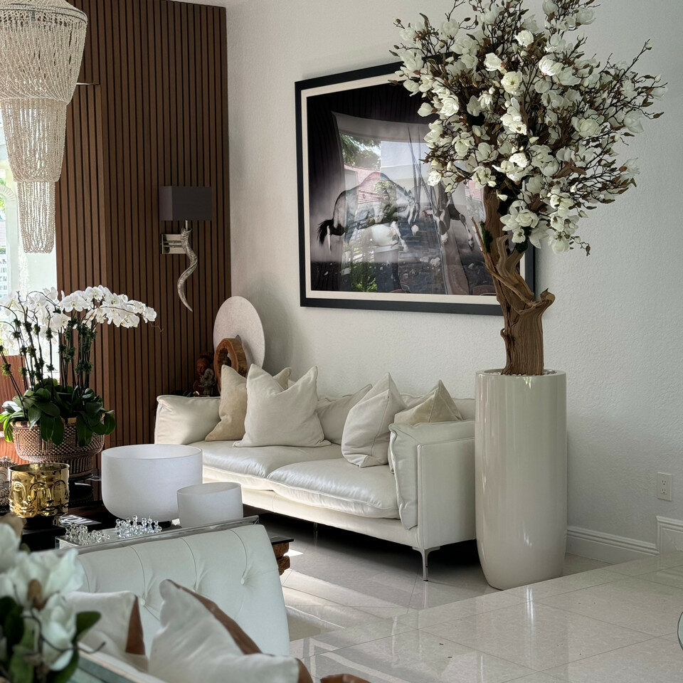 White Magnolia Tree in Shiny St. Tropez Beige Pot