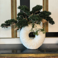 Bonsai