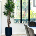 Palm tree in XL black pot