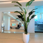 2.74 m Paradise Bird with Ben Pot in Glossy White