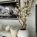 White magnolia tree in shiny white globe pot 30″