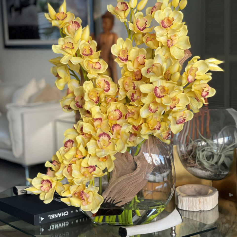 Yellow Cymbidium Orchids in Moon Vase