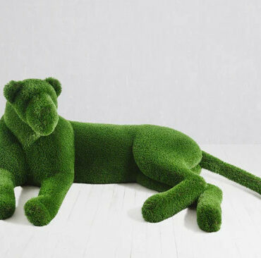 Topiary Lioness Test