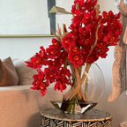 Red Cymbidium Orchids in Moon Planter