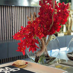 Red Cymbidiums in Moon Vase
