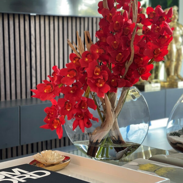 Red Cymbidiums in Moon Vase