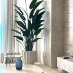 Santa Bárbara Beige Matte Planter with Paradise Bird